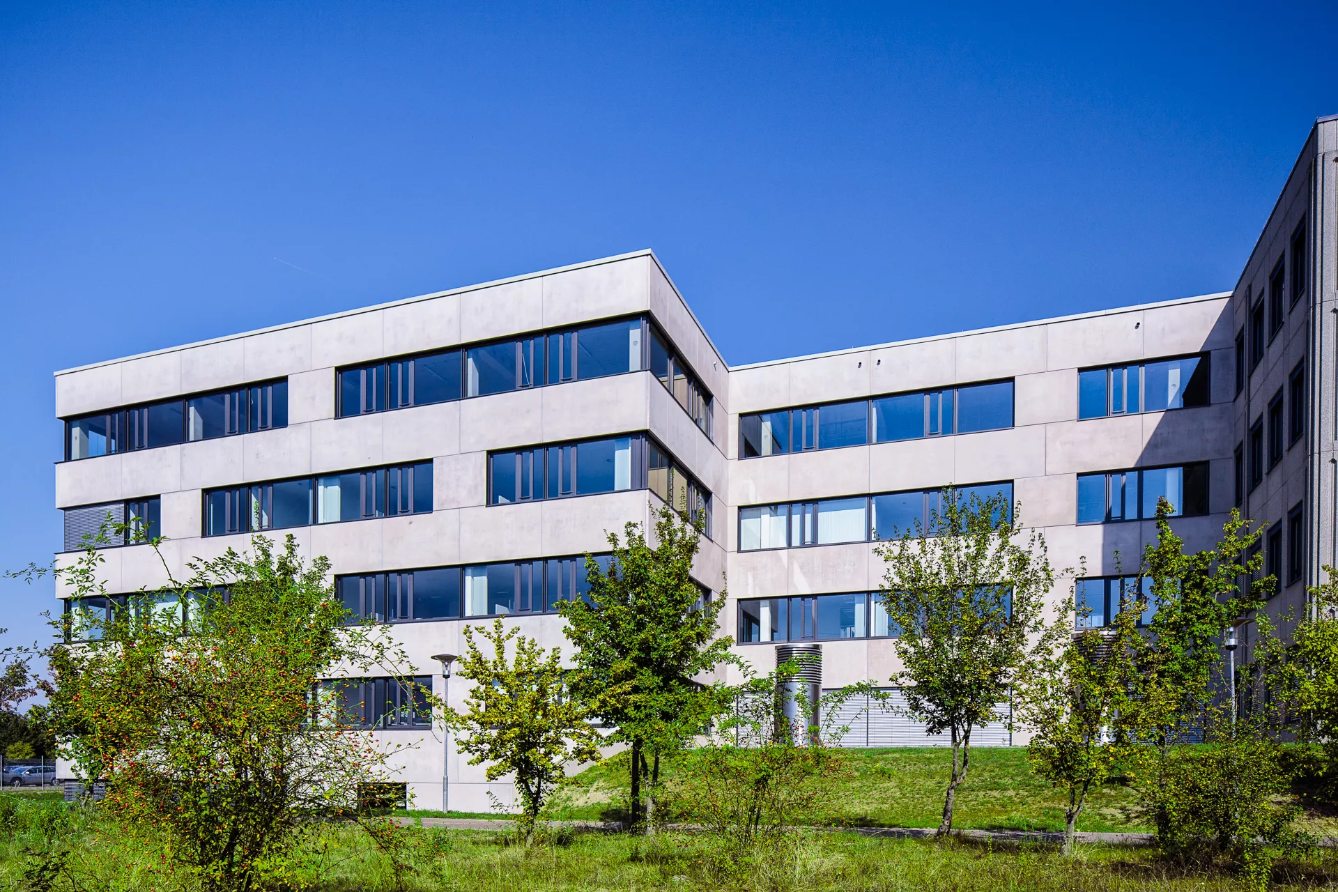 Modernes 5-stöckiges Gebäude mit polierter Betonfassade und breiten Fenstern in vollem Sonnenschein, Grünflächen und kleine Bäume im Vordergrund.